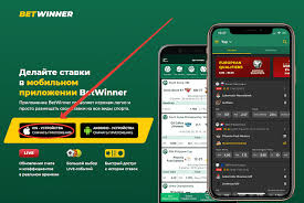 Exploring the Features of Betwinner Your Ultimate Betting Experience