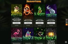 Cashwin Casino España Tu Guía Completa para Jugar y Ganar -1936764575