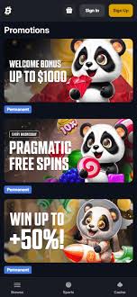 Comprehensive Review of Bitfortune Casino Mobile in Canada