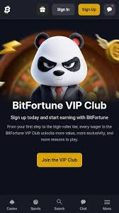 Comprehensive Review of Bitfortune Casino Mobile in Canada