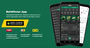 Understanding the BetWinner Privacy Policy A Comprehensive Overview